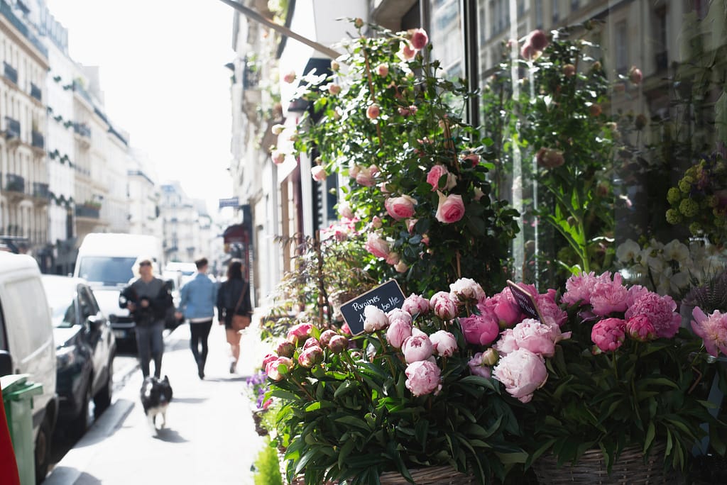 beautiful flower on the street